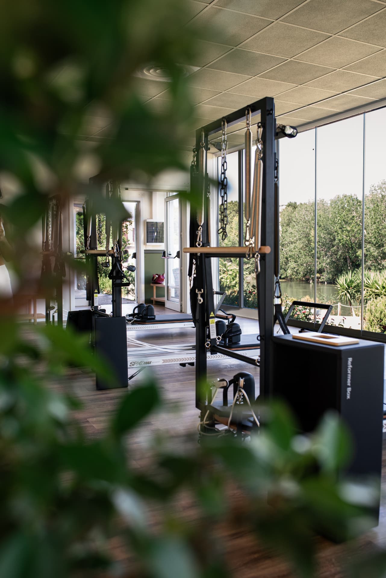 Reformer equipment at Uptown Studio framed by plants, with windows overlooking the Tiber
